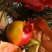  National Tree 24