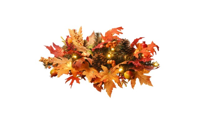  National Tree 24