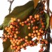  National Tree 72