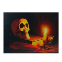 Northlight Northlight Skull Halloween Wall Art - Black and Orange LED Lighted