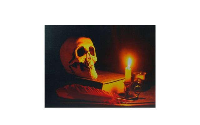  Skull Halloween Wall Art - Black and Orange LED Lighted