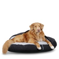 Paikka Recovery Burrow Dog Bed, 24 x 24