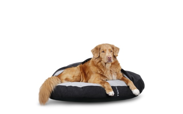 Paikka Recovery Burrow Dog Bed, 24 x 24