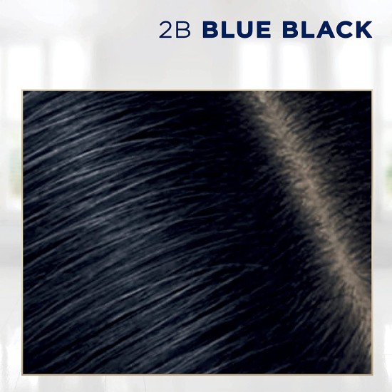  Root Touch-Up by Nice’n Easy Permanent Hair Dye, 2B Blue Black Hair Color