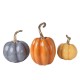 Fall Harvest Pumpkins, Set of 3