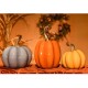 Fall Harvest Pumpkins, Set of 3