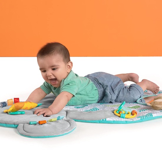  Hug ‘N Cuddle Activity Gym & Playmat with Take-Along Toys, Multicolor