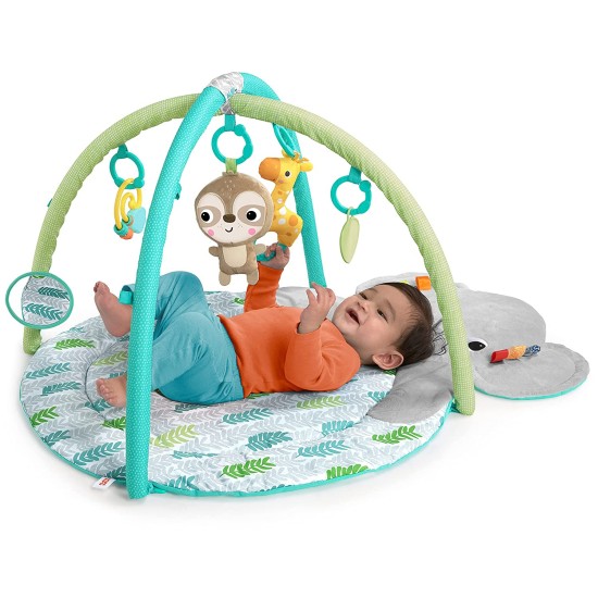  Hug ‘N Cuddle Activity Gym & Playmat with Take-Along Toys, Multicolor