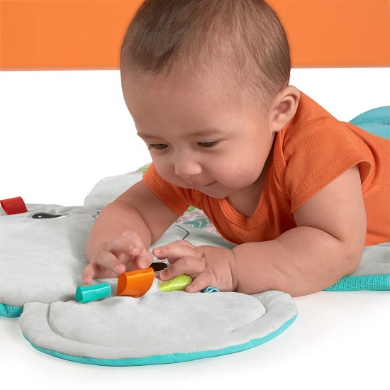  Hug ‘N Cuddle Activity Gym & Playmat with Take-Along Toys, Multicolor