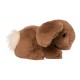  Basil Bunny Stuffed Animal