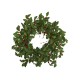  28in. Holly Berry Artificial Wreath, Green