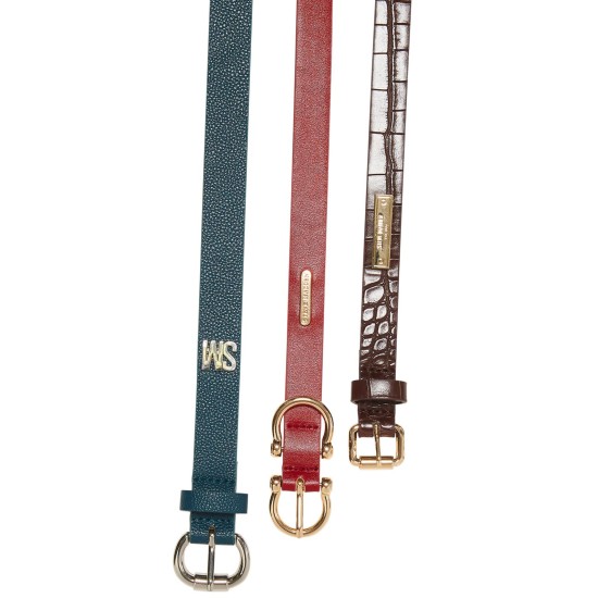  Three-for-one Belts, Multi, Small
