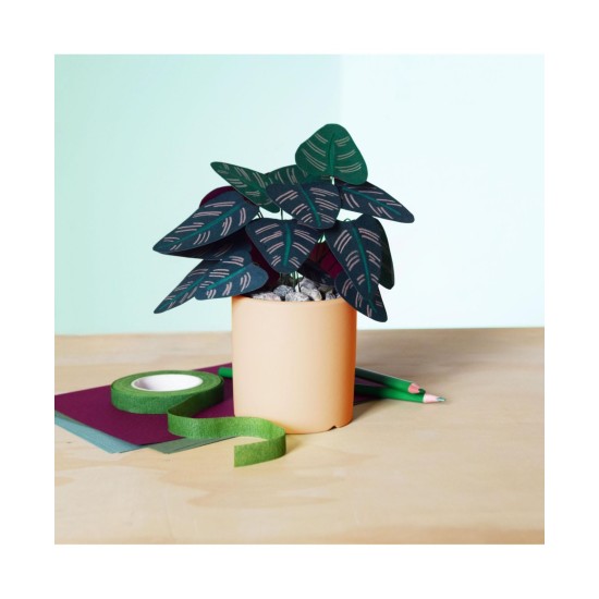  Paper Calathea Plant Kit