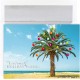  Warmest Wishes 18-Count Christmas Cards, Decorated Palm Tree, 7.87″ x 5.62″ (919700)