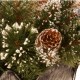  10″ Glittery Bristle Pine Sleigh with 6 White Tipped Cones