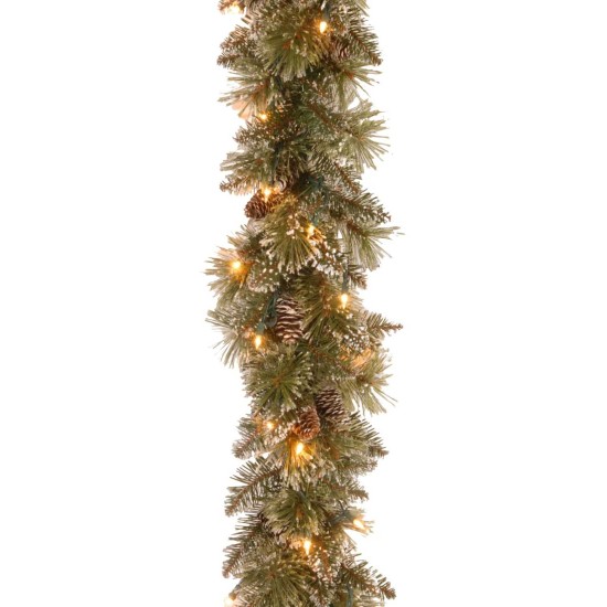  Company Glittery Bristle Pine Garland With White Tipped Cones (Green)