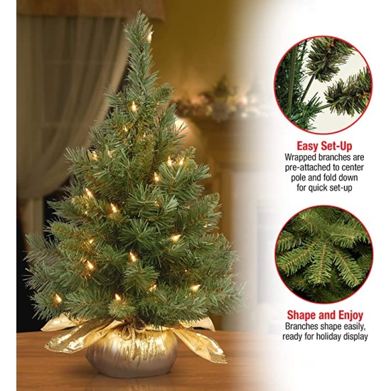  Company Pre-lit Artificial Mini Christmas Tree | Includes Small Lights and Cloth Bag Base | Majestic Fir – 2 ft
