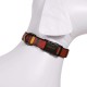 The  Collection Hiker Dog Collar, Ranier, Small