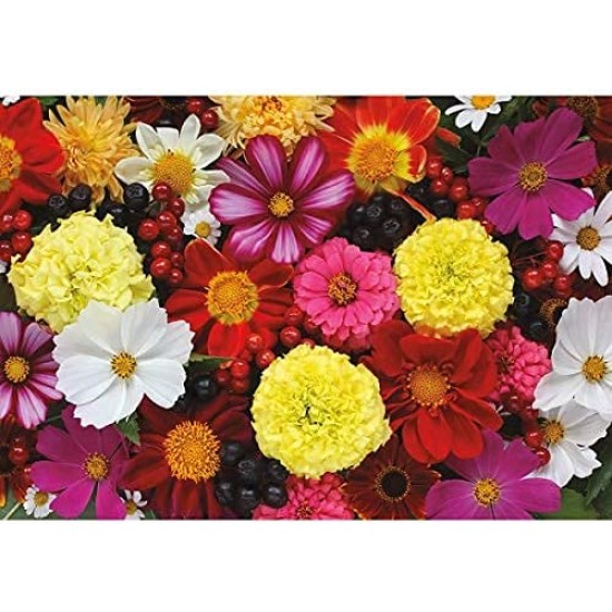 Turner Photographic Fantastic Florals Puzzle – 1000 PC (8410518), Multicolor