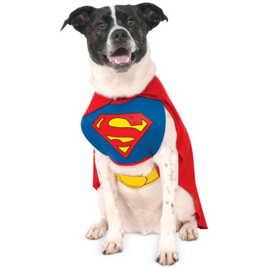  Pet Shop Boutique Superman Pet Costumes, Red/ Blue, Large