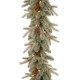  9 ft. Frosted Arctic Spruce Garland with Clear Lights