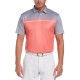  Mens Birdseye Colorblocked Golf Polo Shirts, Medium 