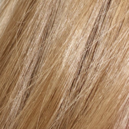  Total Color Permanent Hair Color, Clean and Vegan, 100% Gray Coverage Hair Dye, 81 Medium Ash Blonde, 5.94 fl oz
