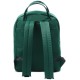  Men’s Solid Backpack, Green