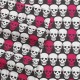  Printed Sheet Set, Pink Skulls, TWIN SET