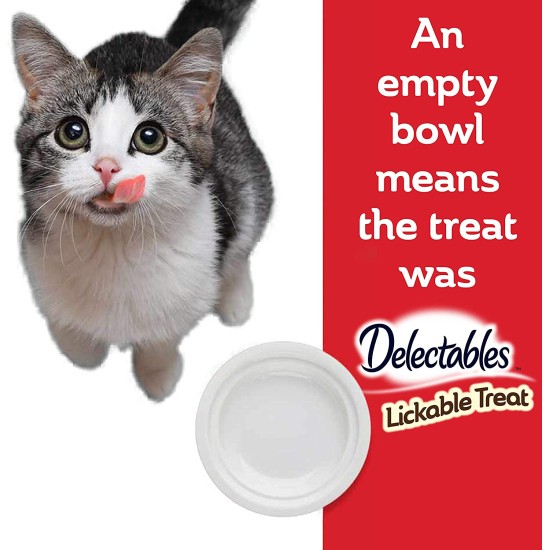 Hartz Delectables Stew Lickable Wet Cat Treats for Adult & Senior Cats (Chicken & Tuna, 12 Pack)