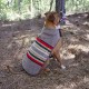 Carolina Pet Company  Yakima Camp Umber Dog Coat, Medium