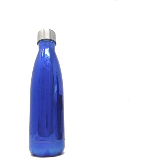  Stainless Steel Water Bottle 17 oz. (Blue 17 oz.)