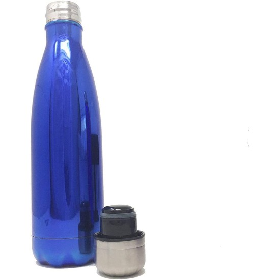  Stainless Steel Water Bottle 17 oz. (Blue 17 oz.)
