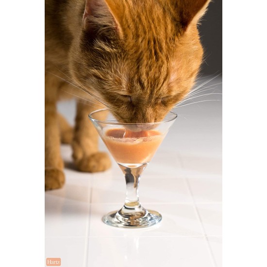  Bisque Lickable Wet Cat Treats – Tuna & Shrimp – 12 Pack