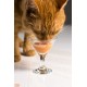  Bisque Lickable Wet Cat Treats – Tuna & Shrimp – 12 Pack