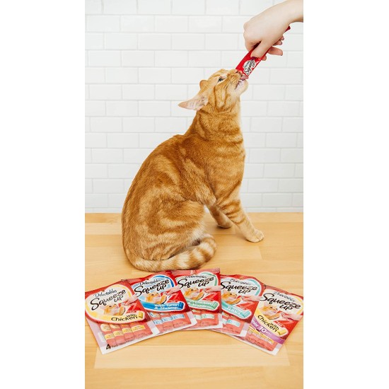  Squeeze Up Lickable Wet Cat Treats Variety Pack, 10Count