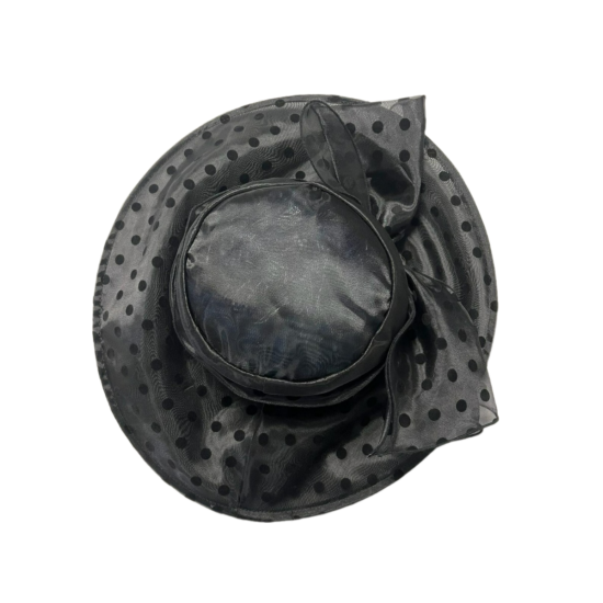  Dotted Organza Wide Brim Sheer Hat, Black