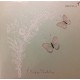 Elegant  Happy Birthday Card – Glitter Embellished Butterflies – Square Green Envelope, 6 x 6 x 0.1