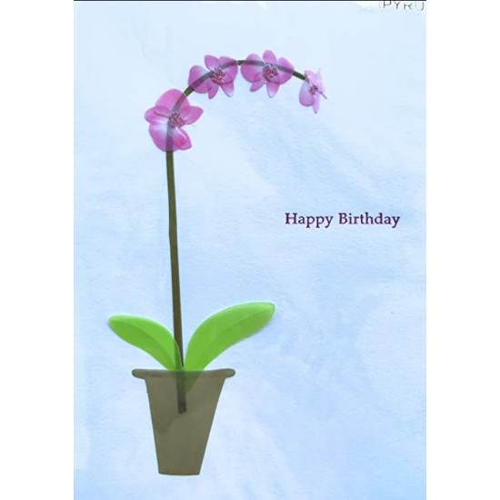  Card Everyday, birthday Card, 1 Each,