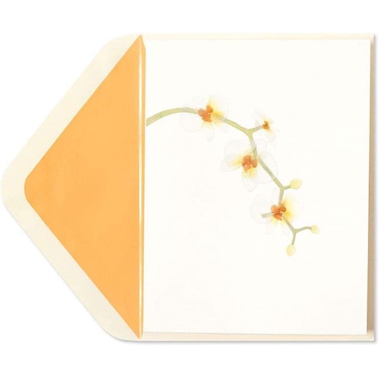  Card High Quality Orchid Blank Card, 1 Each, Multicolor