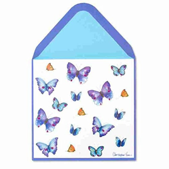  Red Blue Butterflies Blank Card, (7 x 5 x 0.25)