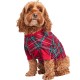  Matching Pet Brinkley Plaid , Brinkley Plaid, XS