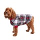  Pet Stewart Plaid , Stewart Plaid, Small