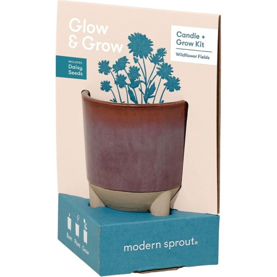  Glow & Grow Wildflower Fields and Candle Grow Kit – Daisy Seed Starter Grow Kit, Scented Soy Candle