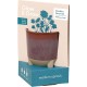  Glow & Grow Wildflower Fields and Candle Grow Kit – Daisy Seed Starter Grow Kit, Scented Soy Candle