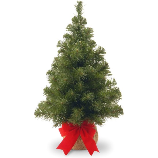 National Tree 2 Foot Noble Spruce Tree with Burlap Bag (NB1-20BP-1)