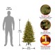  4.5′ Feel Real(R) Natural Fraser Slim Hinged Tree with 300 Clear Lights, Green