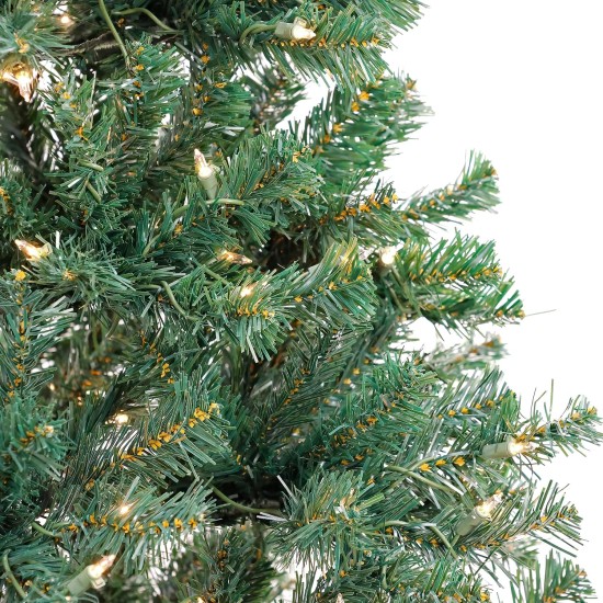  6 ft. Acacia Tree with Clear Lights, Green