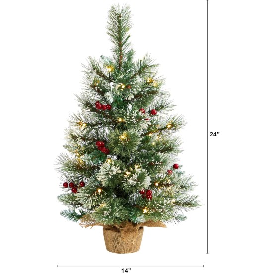  2ft. Snow Tipped Pine and Berry Artificial Christmas Tree with 35 Warm White LED Lights in Burlap Base