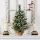  2ft. Snow Tipped Pine and Berry Artificial Christmas Tree with 35 Warm White LED Lights in Burlap Base